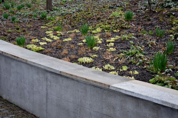 Concrete Wall Construction in Wexford