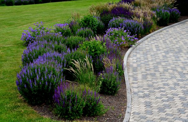 Sidewalk Curb Installation in Wexford