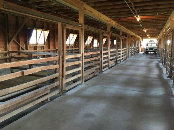 Barn Slab Construction in Wexford
