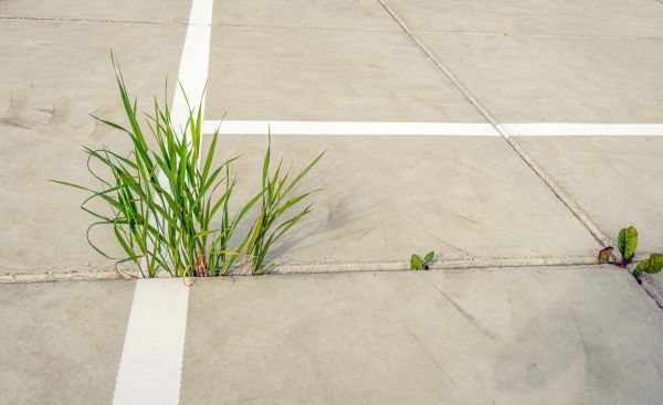 Concrete Parking Installation in Wexford