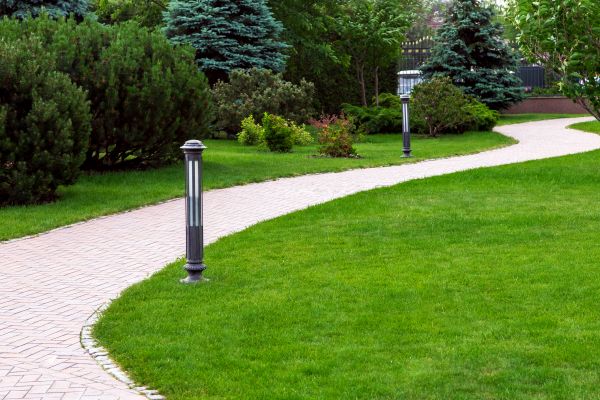 Backyard Sidewalk Installation in Wexford